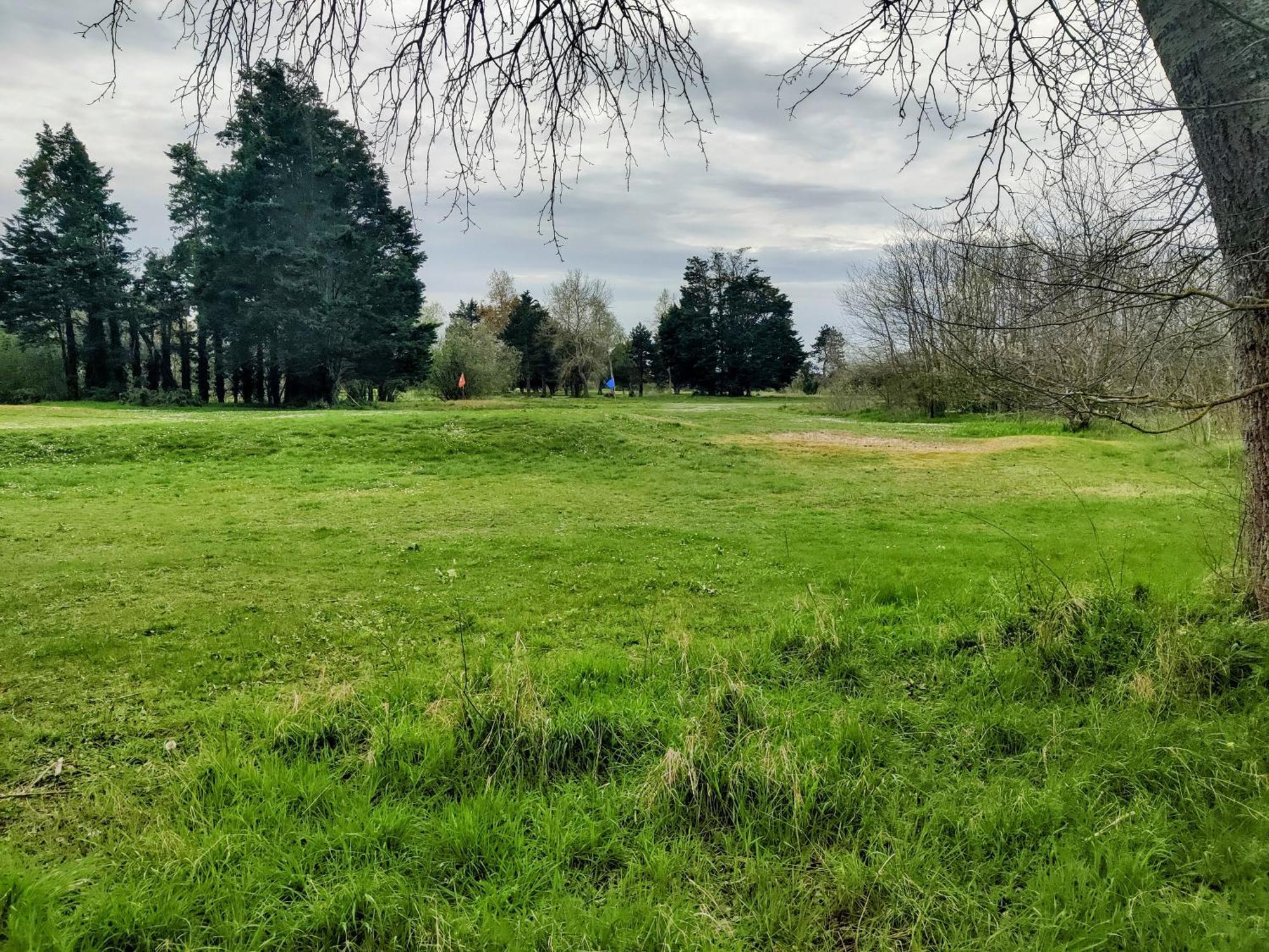 Ravissant Cottage Avec Jardin, Refait A Neuf, 2 A 5 Pers Cabourg Buitenkant foto